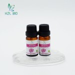 Peony Essential Oil Manufacturer - Multipurpose Natural Oil