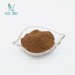 Purslane Extract Factory - 10:1 20:1 Leaf Powder