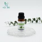 Mugwort Essential Oil Extract Manufacturer - Pure Organic New Arrival