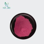 Raspberry Juice Powder Manufacturer - 100% Natural Healthy Powder