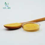 Turmeric Extract Powder Factory - Food Grade Organic Curcumin