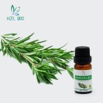 Rosemary Essential Oil Supplier - Pure Natural Low Price