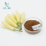 Magnolia Alba Extract Manufacturer - Custom Phenylethanol Glycosides