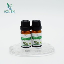 Rosemary Essential Oil Factory - 100% Natural Food Grade