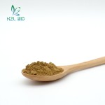 Chamomile Extract Factory - 10:1 20:1 Flower Powder Wholesale