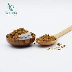 Yucca Schidigera Extract Manufacturer - 30% Yellow Brown Powder