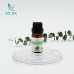 Mugwort Essential Oil Supplier - Organic Oil Green Healthy