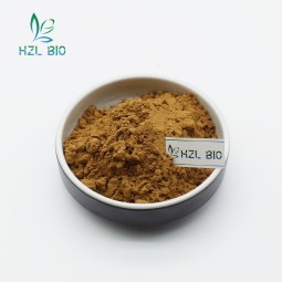 Yucca Extract Manufacturer - 60% Sarsaponin Customized Powder