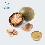 Momordica Grosvenori Extract Factory - 20%-90% Mogroside Powder