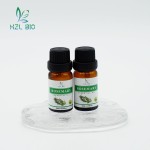 Rosemary Essential Oil Supplier - Pure Natural Low Price