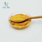 Turmeric Extract Powder Factory - Food Grade Organic Curcumin