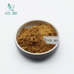 Yucca Extract Supplier - 30%-60% Leaf Powder Low Price