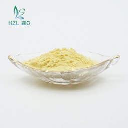 Passion Fruit Extract Manufacturer - Organic Powder Hot Sales