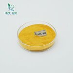 Turmeric Extract Powder Factory - Food Grade Organic Curcumin