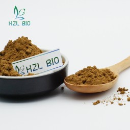 Agaricus Blazei Extract Manufacturer - Mushroom Powder Hot Selling