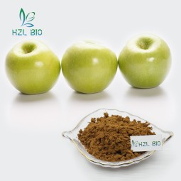 Apple Peel Extract Factory - 10% Apple Polyphenols Powder