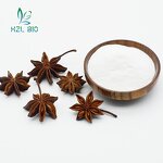 Star Anise Extract Manufacturer - Organic Fruit Extract Powder