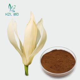 Michelia Alba Extract Supplier - Health Care Powder Bulk