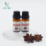 Star Anise Essential Oil Supplier - Food Grade Fruit Extract