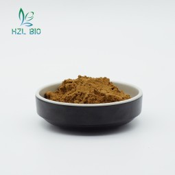 Gentian Root Extract Supplier - 8% Gentiopicrin Natural Powder