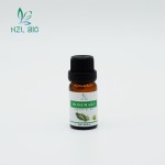 Rosemary Essential Oil Supplier - Pure Natural Low Price