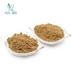 Momordica Grosvenori Extract Factory - 20%-90% Mogroside Powder
