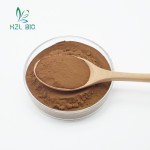 Purslane Extract Factory - 10:1 20:1 Leaf Powder
