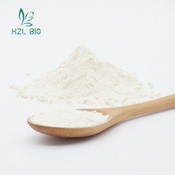 White Kidney Bean Extract Factory - Natural Supplement Powder