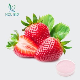 Strawberry Fruit Powder Supplier - 10:1 20:1 Extract Low Price