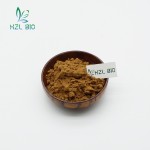 Yucca Extract Supplier - 30%-60% Leaf Powder Low Price