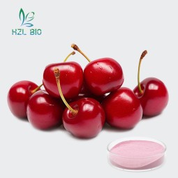 Freeze Dried Cherry Powder Factory - Food Grade Tart Cherry