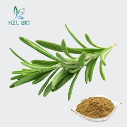 Rosemary Extract Supplier - 20% 25% Organic Powder