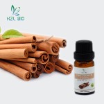 Cinnamon Bark Oil Manufacturer - Multipurpose Essential Oil Wholesale