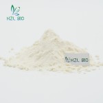 White Kidney Bean Extract Manufacturer - Natural Weight Loss Powder