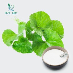 Centella Asiatica Extract Factory - Multifunctional Powder Wholesale