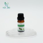 Rosemary Essential Oil Factory - 100% Natural Food Grade