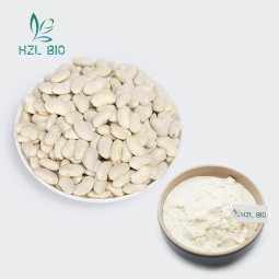 White Kidney Bean Extract Manufacturer - Natural Weight Loss Powder