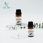 Cinnamon Bark Oil Manufacturer - Multipurpose Essential Oil Wholesale