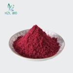 Raspberry Juice Powder Manufacturer - 100% Natural Healthy Powder