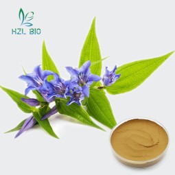 Gentian Root Extract Manufacturer - Gentiopicrin Organic Powder