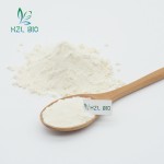 White Kidney Bean Extract Manufacturer - Natural Weight Loss Powder