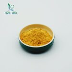 Turmeric Extract Powder Factory - Food Grade Organic Curcumin