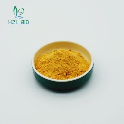 Turmeric Extract Powder Factory - Food Grade Organic Curcumin