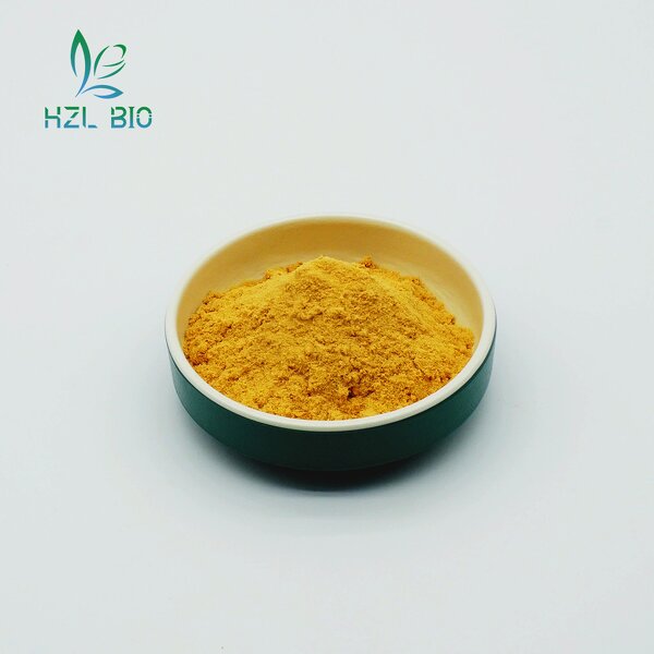 Turmeric Extract Powder Factory - Food Grade Organic Curcumin