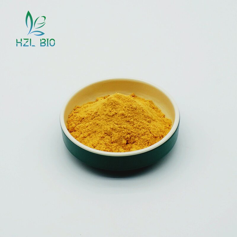 Turmeric Extract Powder Factory - Food Grade Organic Curcumin