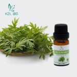 Mugwort Essential Oil Factory - 100% Organic Food Grade Massage
