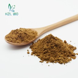 Agaricus Blazei Extract Supplier - 100% Natural Mushroom Powder