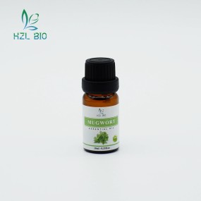 Mugwort Essential Oil Extract Manufacturer - Pure Organic New Arrival