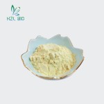 Chamomile Extract Factory - 10:1 20:1 Flower Powder Wholesale