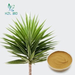 Yucca Extract Supplier - 30%-60% Leaf Powder Low Price